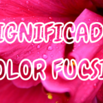 QuÃ© Significa el Color FUCSIA