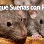 Que Significa Soñar con Ratas