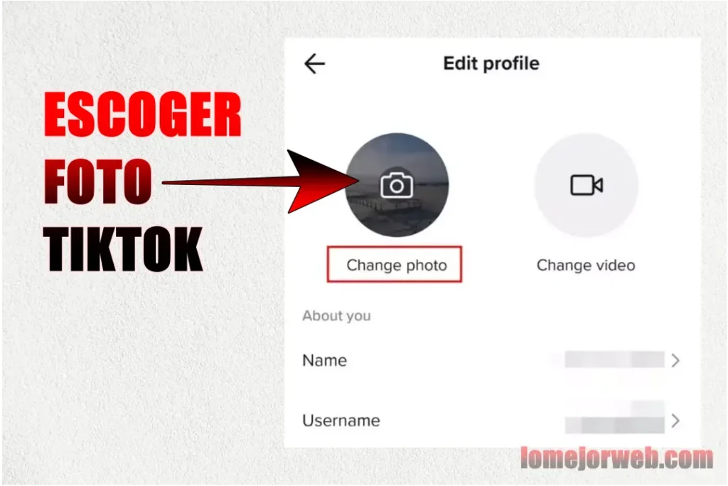 Como Elegir tu Foto de Perfil para TikTok Correctamente