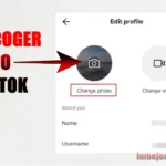Como Elegir tu Foto de Perfil para TikTok Correctamente
