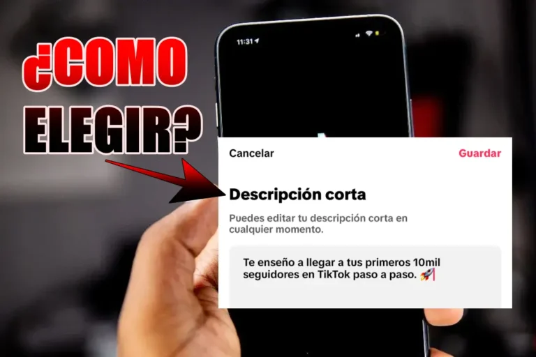 Qué poner en mi Descripción de TikTok